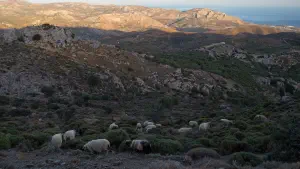 Stavromenos Church  - CRETE