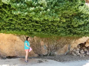 Stavromenos Church  - CRETE