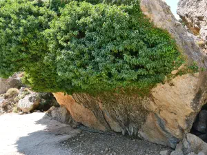 Stavromenos Church  - CRETE