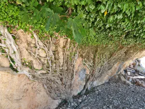 Stavromenos Church  - CRETE