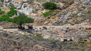 Stavromenos Church  - CRETE
