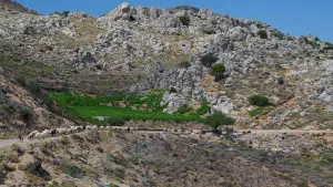Stavromenos Church  - CRETE
