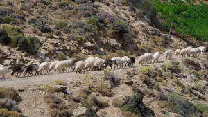Stavromenos Church  - CRETE