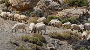 Stavromenos Church  - CRETE