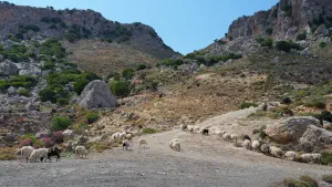 Stavromenos Church  - CRETE