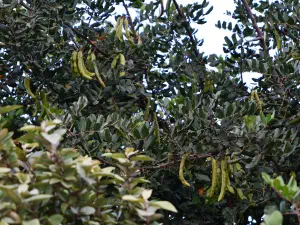 Vathi Beach  - CRETE