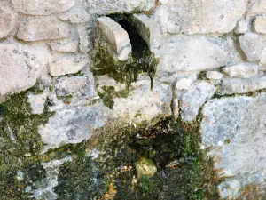 Voila Venetian Castle  - CRETE