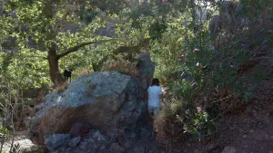 Zakros Gorge - of the Dead  - CRETE