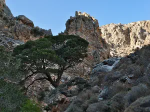 Zakros Gorge - of the Dead  - CRETE