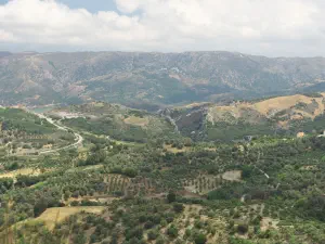 Patsos Gorge  - CRETE