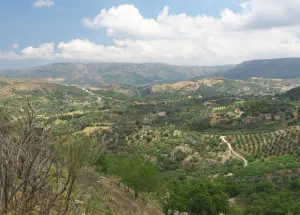 Patsos Gorge  - CRETE