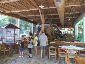 Patsos Gorge  - CRETE