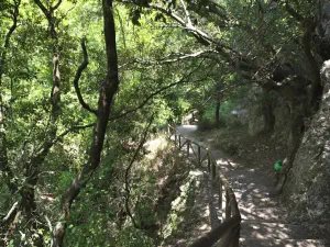 Patsos Gorge  - CRETE