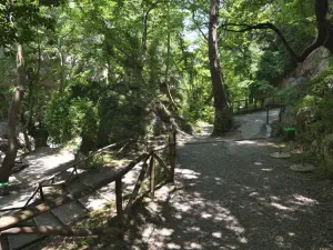 Patsos Gorge  - CRETE
