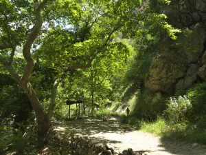 Patsos Gorge  - CRETE