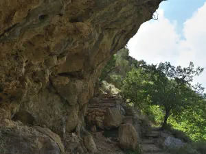 Patsos Gorge  - CRETE