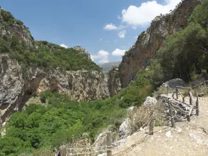 Patsos Gorge  - CRETE
