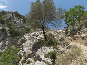 Patsos Gorge  - CRETE