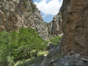 Patsos Gorge  - CRETE
