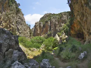 Patsos Gorge  - CRETE