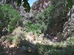 Patsos Gorge  - CRETE