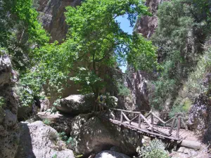 Patsos Gorge  - CRETE