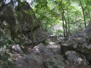 Patsos Gorge  - CRETE