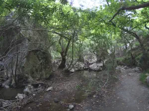 Patsos Gorge  - CRETE