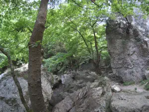 Patsos Gorge  - CRETE