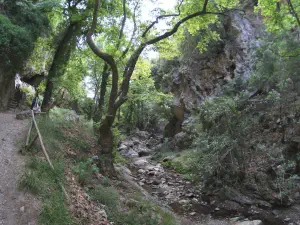 Patsos Gorge  - CRETE
