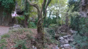 Patsos Gorge  - CRETE