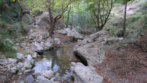 Patsos Gorge  - CRETE