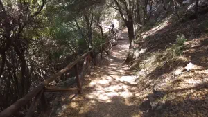 Patsos Gorge  - CRETE