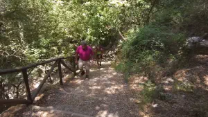 Patsos Gorge  - CRETE