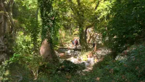 Patsos Gorge  - CRETE