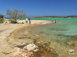 Camping Beach  - ANTIPAROS