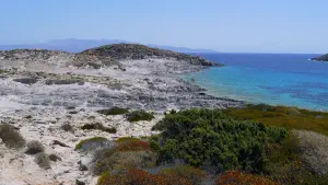 Faneromeni  - ANTIPAROS