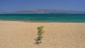 Glyfa Beach  - ANTIPAROS