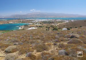 Sifneiko Beach  - ANTIPAROS
