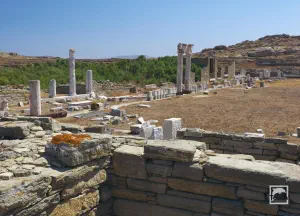 Agora of the Italians  - DELOS