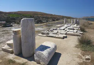Agora of the Kompetaliasts  - DELOS