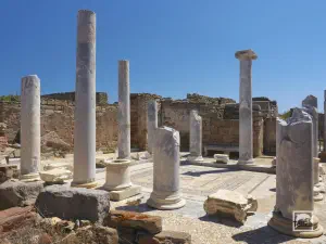 House of Lake  - DELOS
