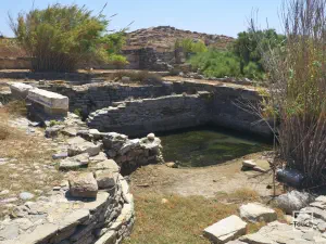 Lake Palaestra  - DELOS
