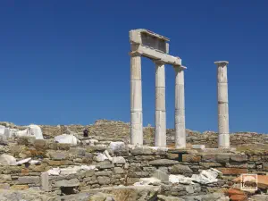 Poseidoniasts of Berytos  - DELOS