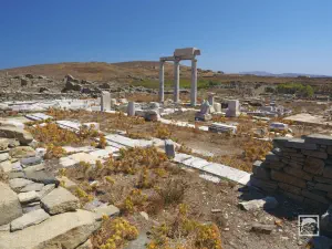 Poseidoniasts of Berytos  - DELOS