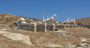 Terrace of the Lions  - DELOS
