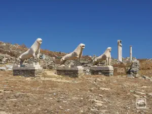 Terrace of the Lions  - DELOS