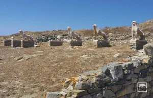 Terrace of the Lions  - DELOS