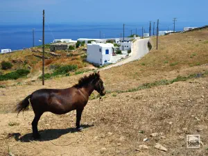Theologos Church  - FOLEGANDROS