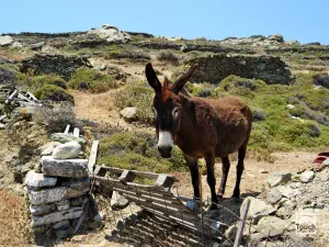 Theologos Church  - FOLEGANDROS